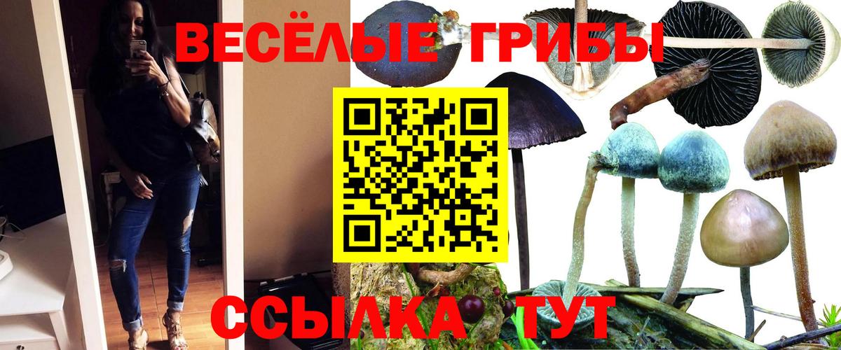 Псилоцибиновые грибы прущие грибы  Вход с VPN  Красный Сулин 